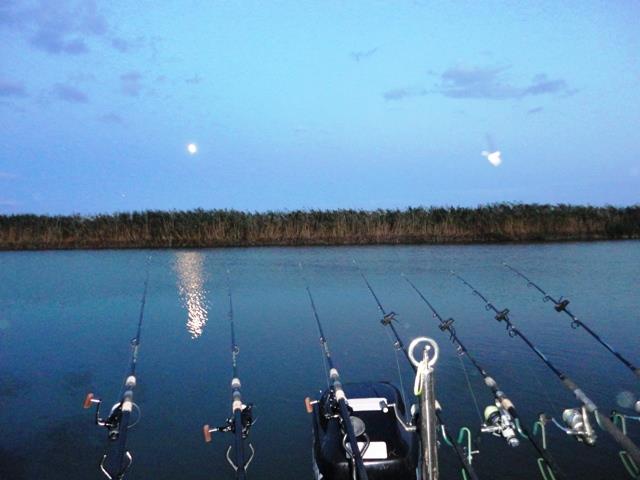 Doar ... NATURA - 3 - dsc00702.JPG